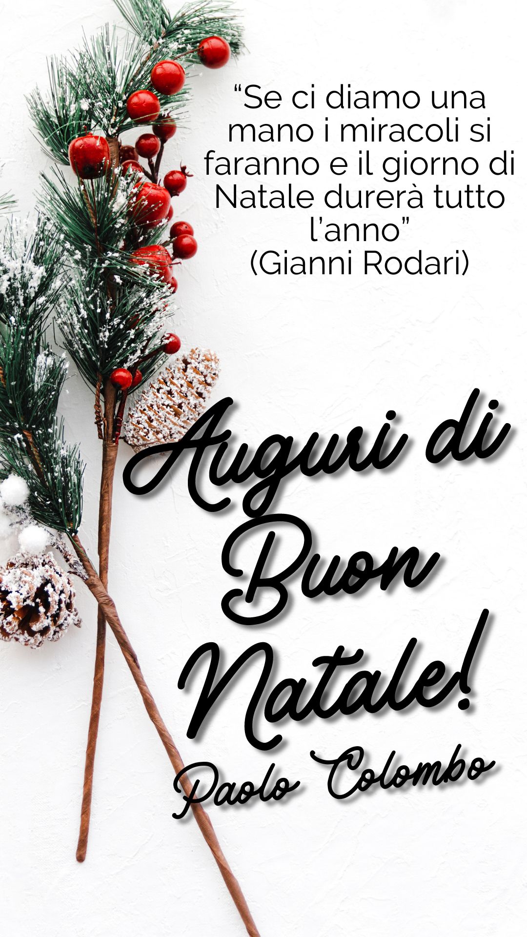 Auguri di Natale 2023 (1).jpg