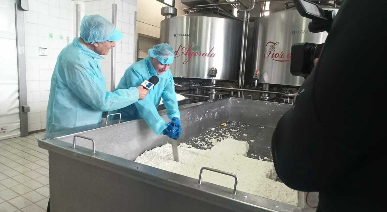Osservatorio Agro Green della Campania, visita ad Agerola per la valorizzazione del fiordilatte
