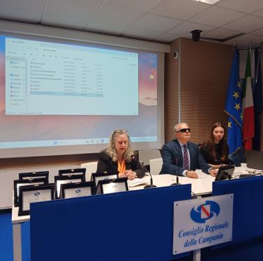 garante disabili